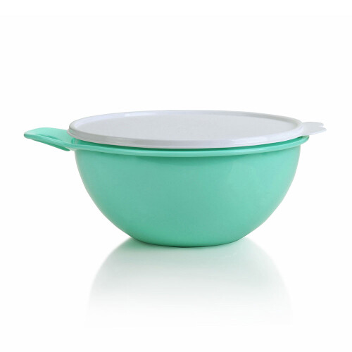 BOWL CREATIVA MENTA 2,75LT BOWL CREATIVA MENTA 2,75LT