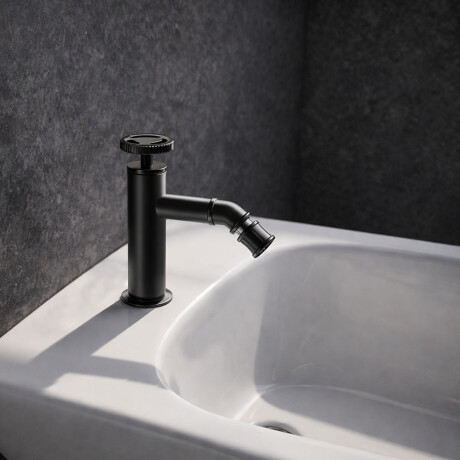 Monocomando Para Bidet Sin Transf. Industrial Negro Mate Incl Valvula GAMAS DE NEGRO