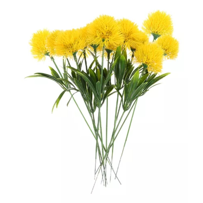Ptilotus Amarillo