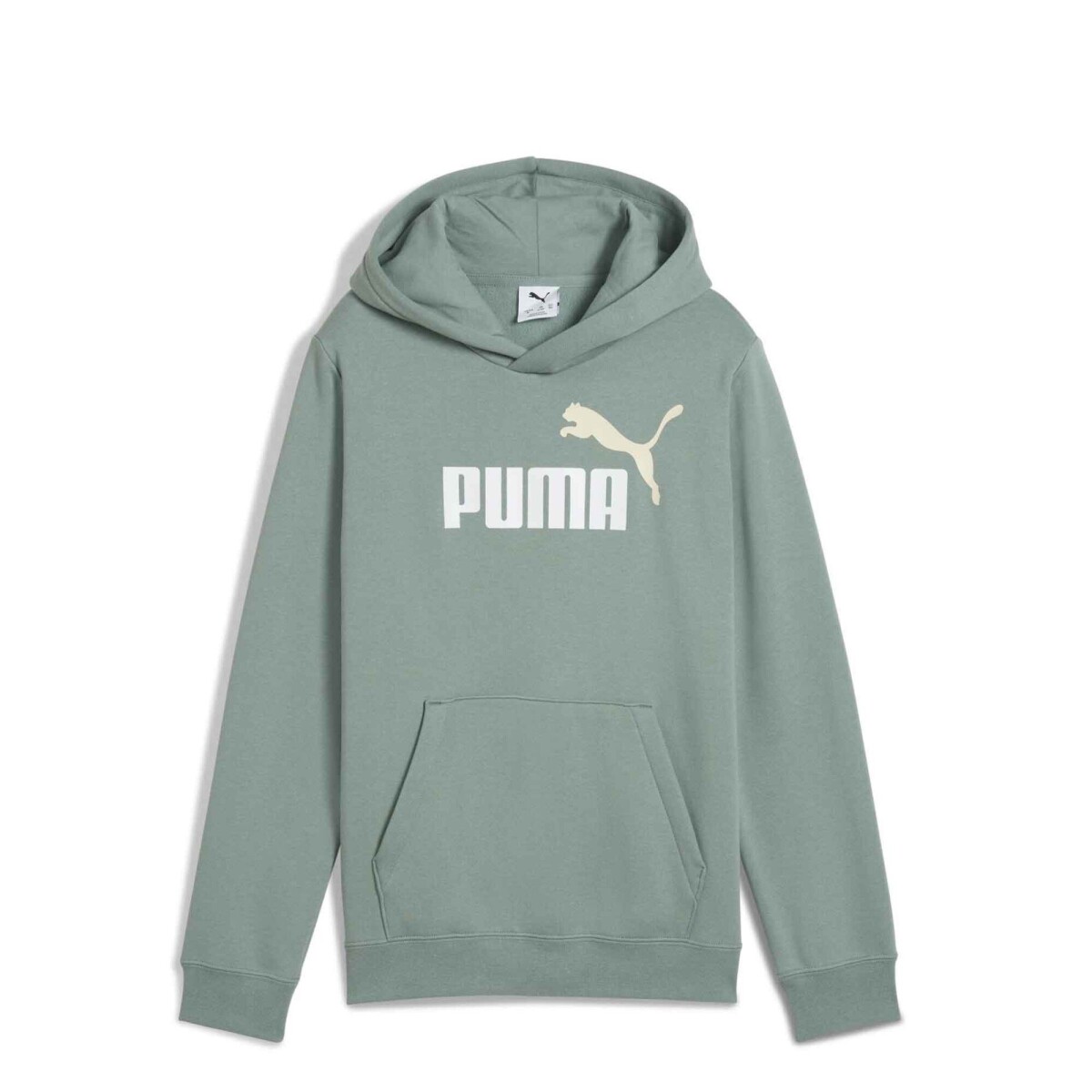 Buzo de Hombre Puma Logo Hoodie - Verde 