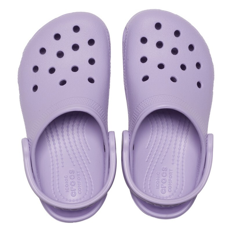 Classic Clog Violeta
