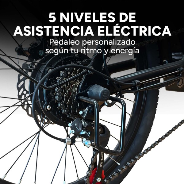 Bicicleta Electrica Gogreen Compact Pro Plegabl R20 350W 48V Variante Color Negro