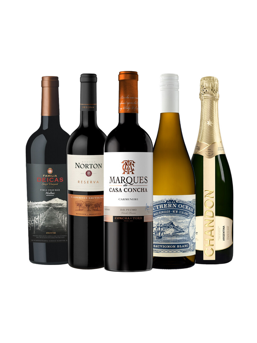 Pack Bacán Selección Bacanazo Fin de Año x5 vinos premium más espumantes Pack Bacán Selección Bacanazo Fin de Año x5 vinos premium más espumantes