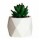 Mini Planta Artificial Decorativa Maceta Rombos en Cemento Verde