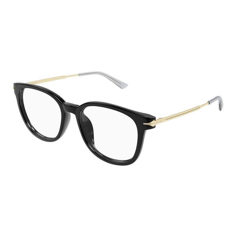 Montblanc 0309oa 001