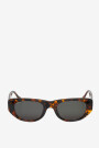 Guyam Cheetah Tortoise Crudo