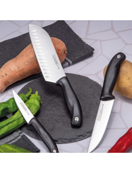 SET 3 PIEZAS COCINA VERD/CHEF/SANTOKU EVO 3 CLAVELES SET 3 PIEZAS COCINA VERD/CHEF/SANTOKU EVO 3 CLAVELES