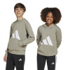 Canguro Adidas Buzo J BL FT HD de Niños - JC9673 Beige-blanco