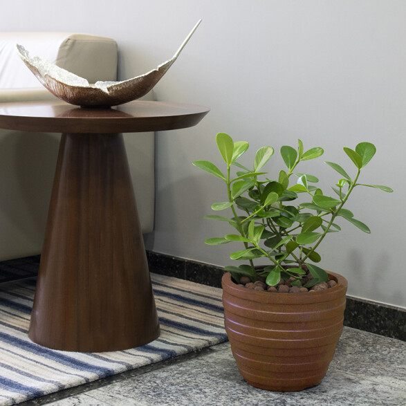 Maceta "INCA" Ø28 x 24cm. color terracota -TRAMONTINA TD0204