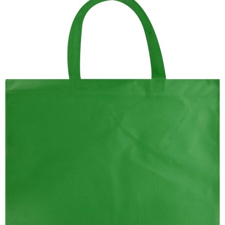 Bolsa ecologica TNT verde Bolsa ecologica TNT verde