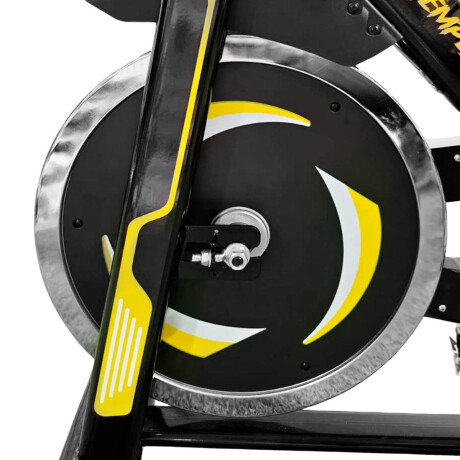 Bicicleta Spinning Profesional Regulable Disco 13kg Tempest