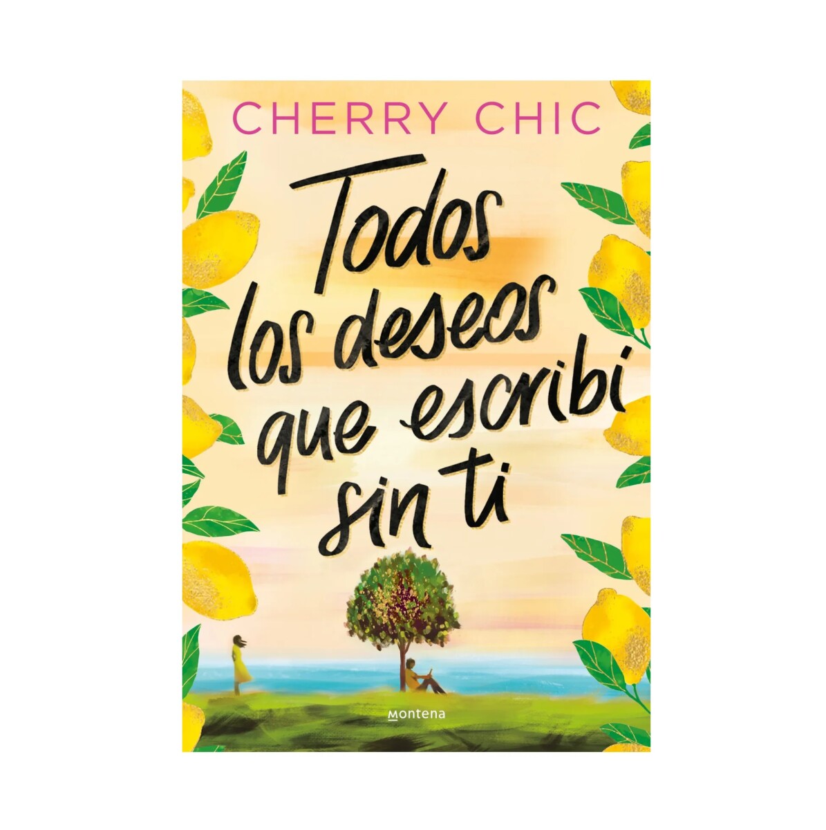 TODOS LOS DESEOS QUE ESCRIBI SIN TI 