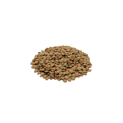 LENTEJAS CANADIENSES 500G Lentejas Canadiense 500g