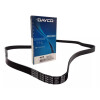 CORREA DE ALTERNADOR GOL 1.0 6X1795 Correa De Alternador Gol 1.0 6x1795