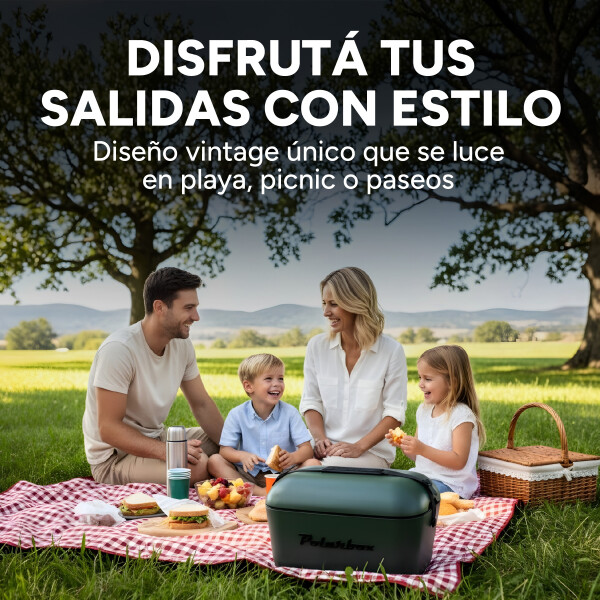 Conservadora Hielera Vintage 20L Litros Latas Hielo Polarbox Color Gris