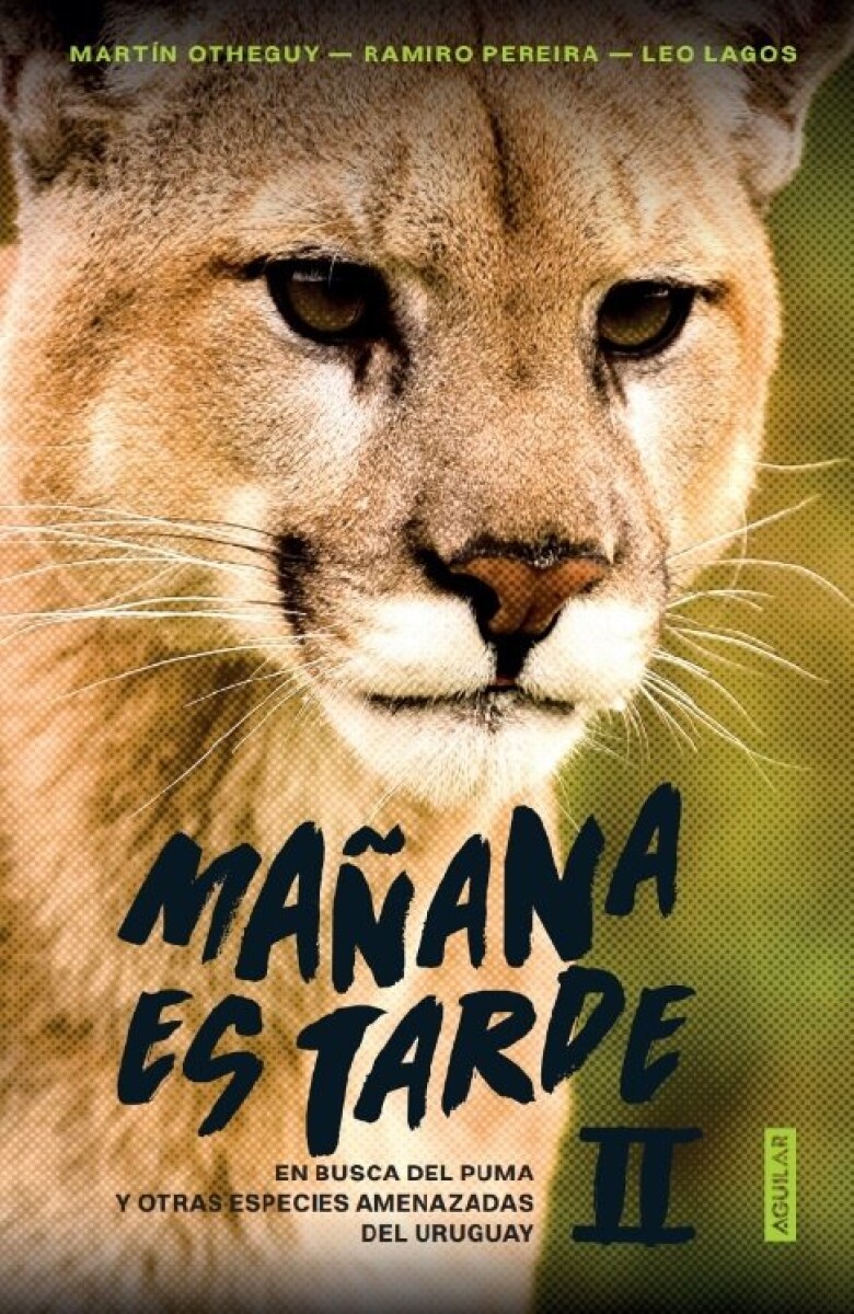 MAÑANA ES TARDE II 