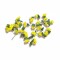 Enredaderas de Flores 2.2MTR Amarilla