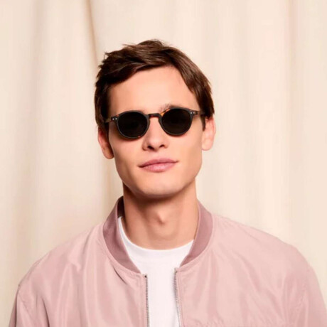 Lentes Izipizi H SUN Carey