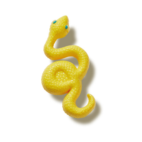 Jibbitz Dimensional Snake Multicolor