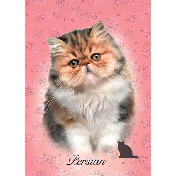 Puzzle 100 Piezas Gato Persian Rompecabezas Gatito Educa Puzzle 100 Piezas Gato Persian Rompecabezas Gatito Educa