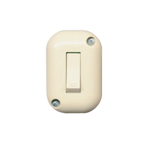 Pulsador exterior c/caja 10A - Visione marfil C60810