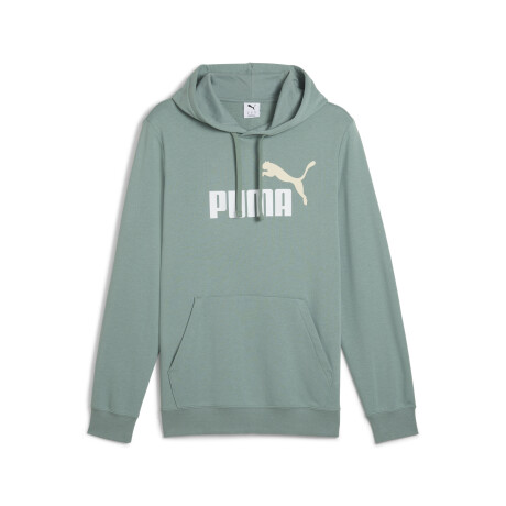 ESS 2 COLOR Bş1 Logo Hoodie TR 68471230 Verde