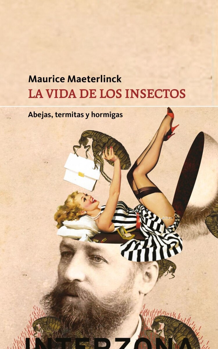 Vida De Los Insectos, La 