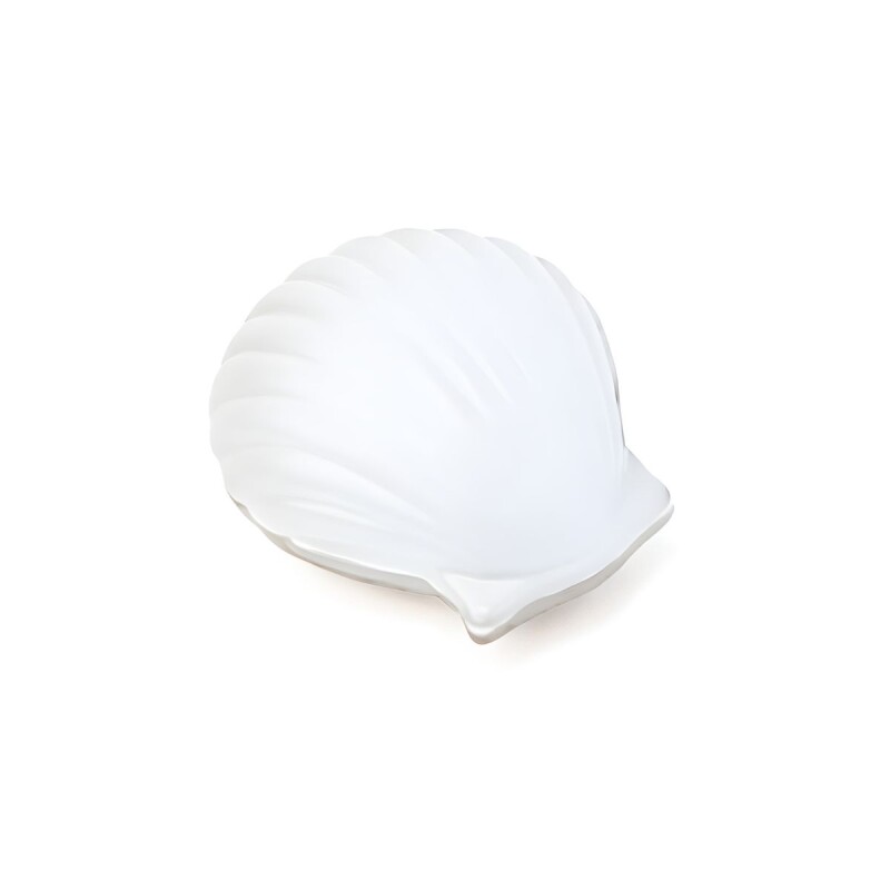 Alhajero de cerámica Shell Alhajero de cerámica Shell