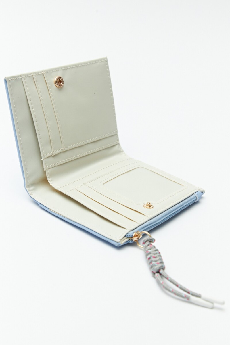 BILLETERA TAYLOR Celeste
