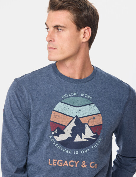 REMERA ESTAMPADA Azul