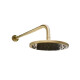 Ducha Articulada Completa C/roseta Y Brazo - De 20Cm Brushed Gold