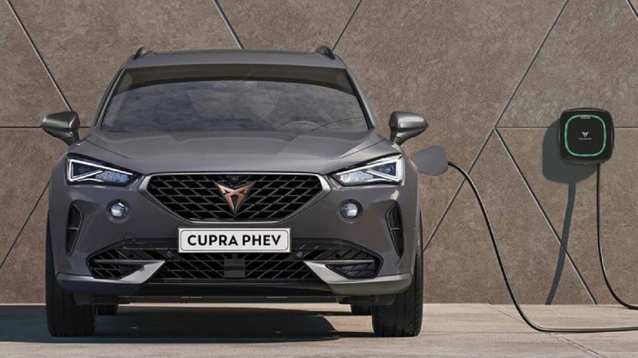 2-cupra.jpg