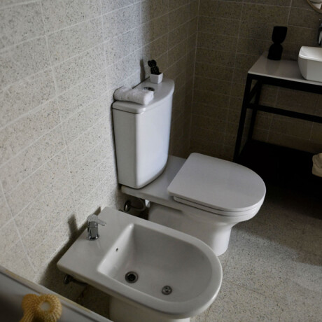Griferia De Bidet Monocomando Cromo Clever Con Transferencia CROMO