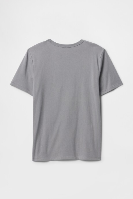 Remera Gráfico Niño Pilot Grey
