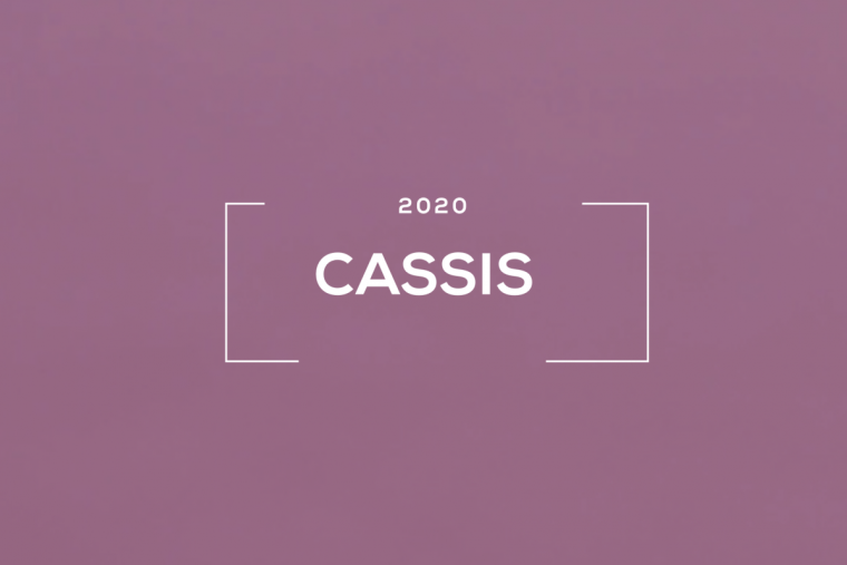 Color del mes: Cassis