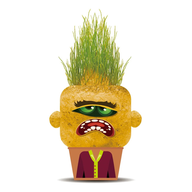 Juego Plant Pals - Hape Juego Plant Pals - Hape