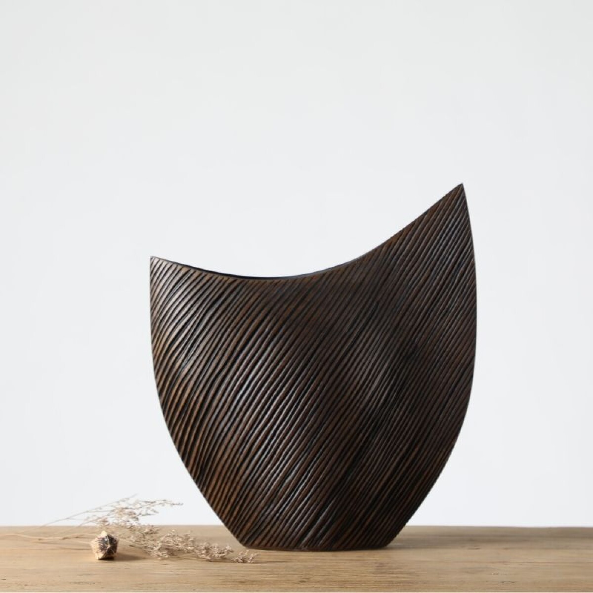 Corteza Curvo Ébano Grande 