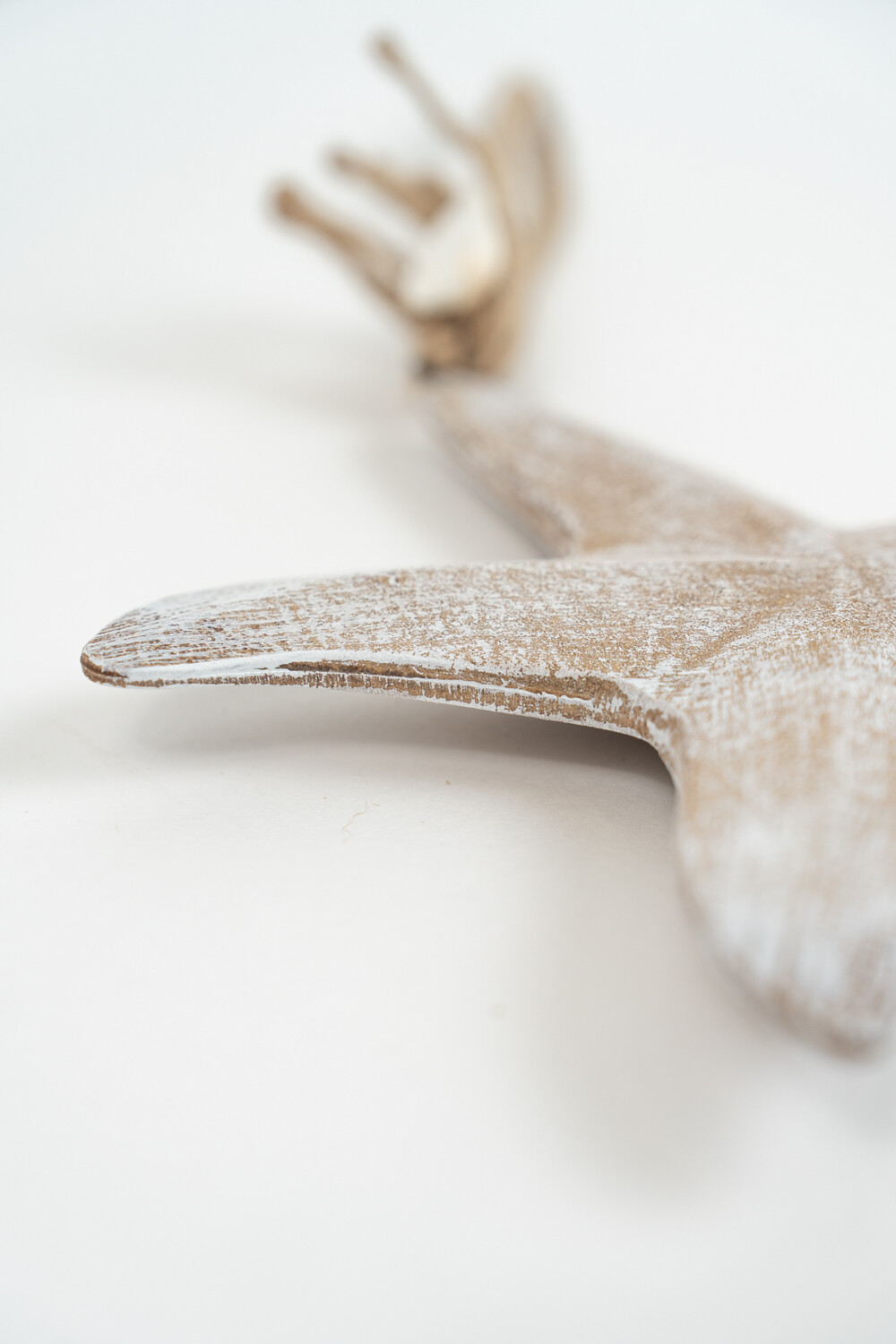 Adorno Estrella De Mar Color Unico