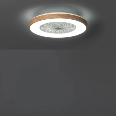 VENTILADOR DE TECHO DETROIT 20W Luminaria LED y Ventilador de Techo con Control Remoto CCT Detroit Wood
