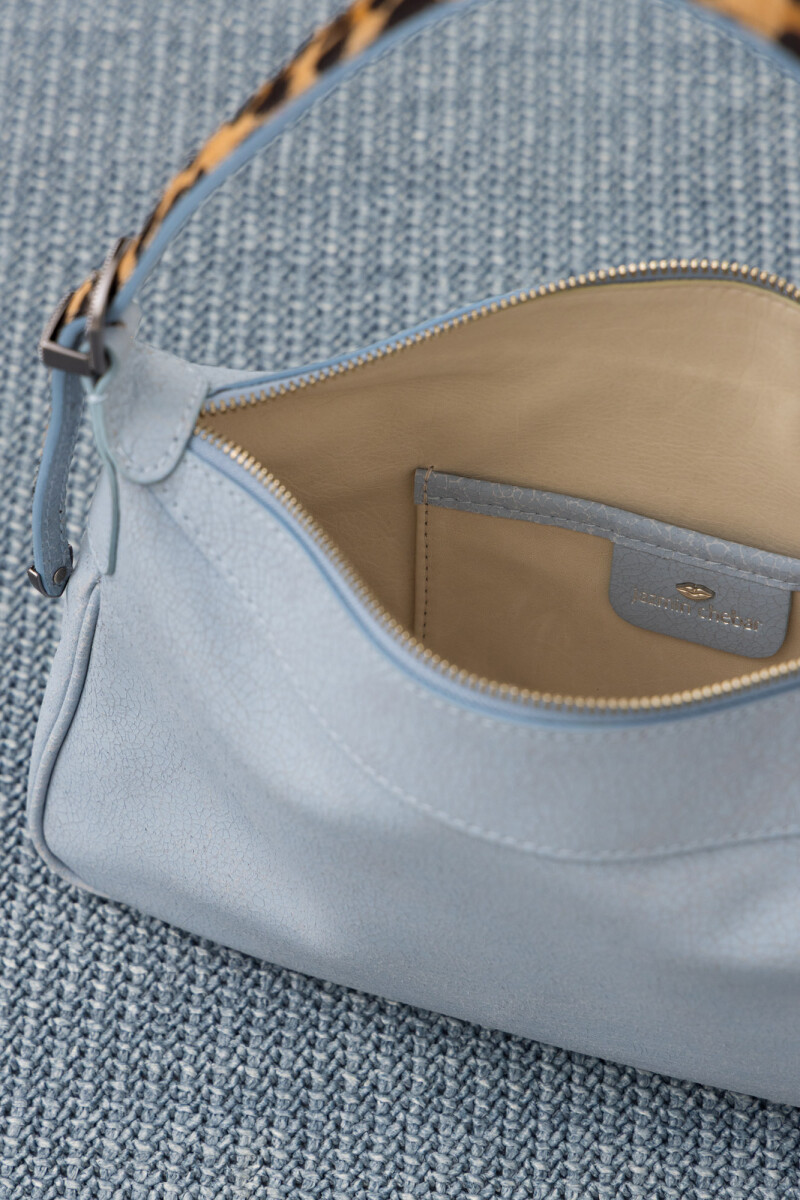 CARTERA VALENCIA Celeste