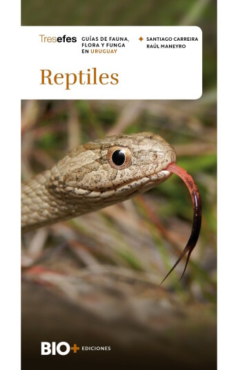 Reptiles Reptiles