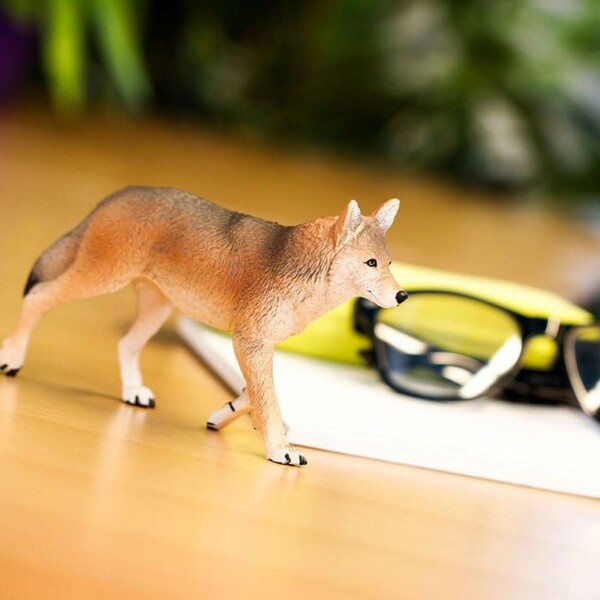 Coyote Grande Mamifero Safari Colección Escala Niño Coyote Grande Mamifero Safari Colección Escala Niño