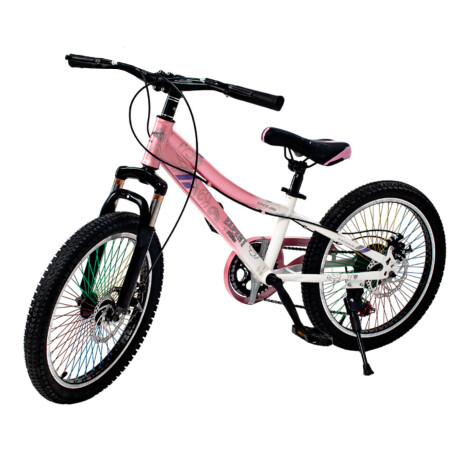 Bicicleta R20 Suspensión, Freno De Disco El Rey Rosa