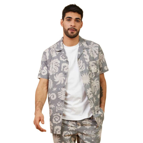 Camisa Rusty Terrel Gris