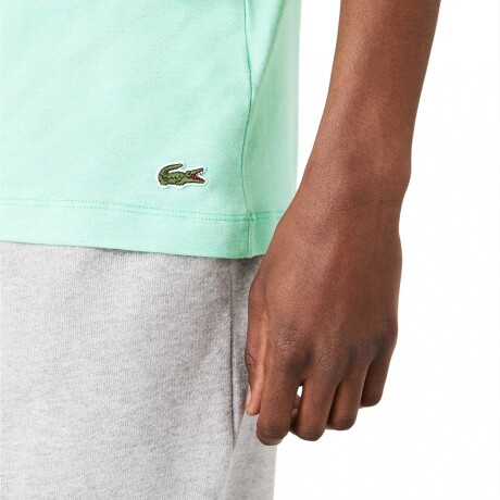 REMERA LACOSTE SIGNATURE AND CROCODILE HCV