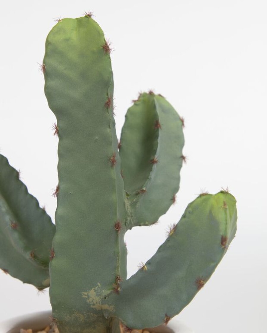 Planta artificial Cactus con maceta blanco 22 cm Planta artificial Cactus con maceta blanco 22 cm