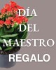 Dia del maestro