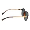 Lentes de Sol Chilli Beans Alejandria Animal Print - Verde