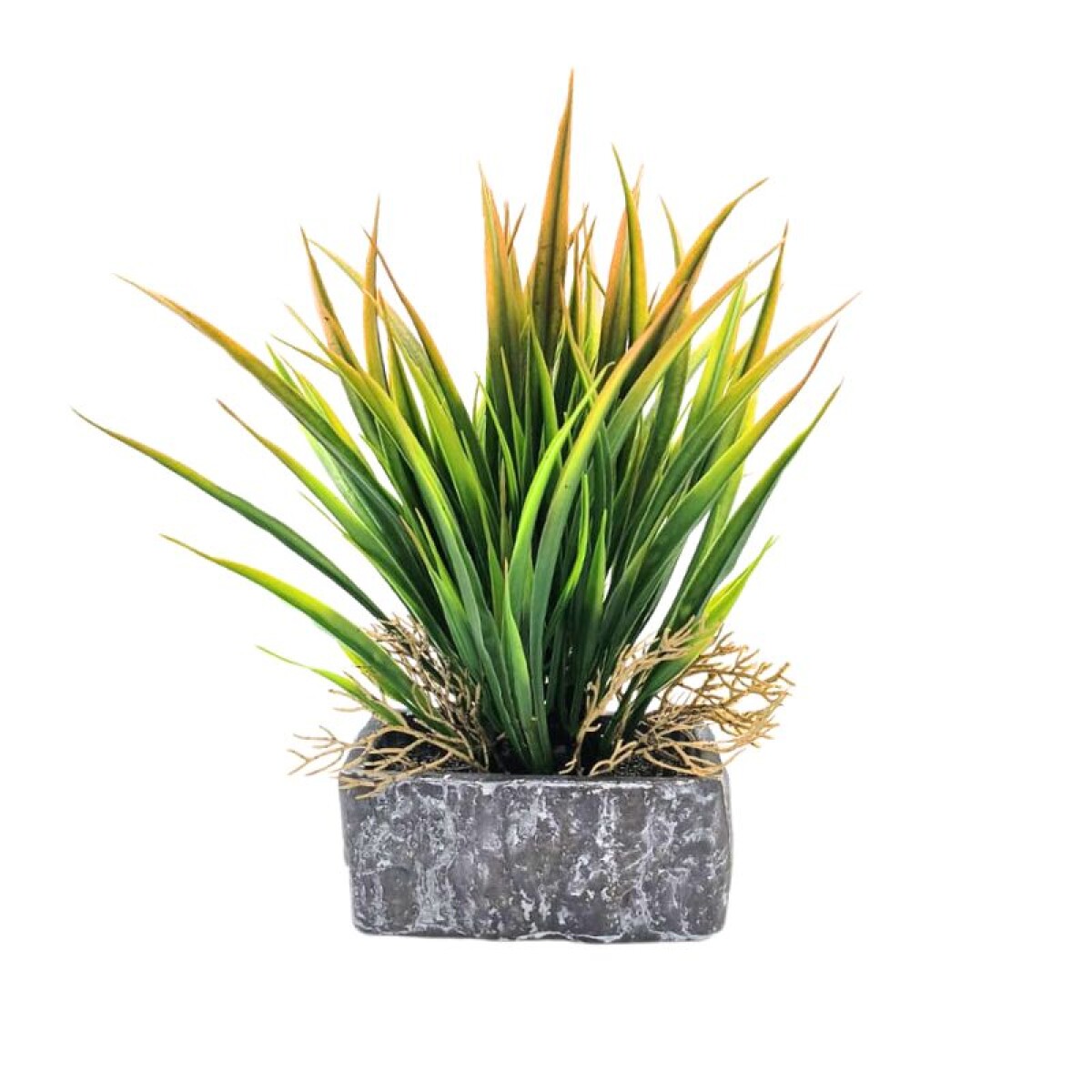 Planta en Maceta 