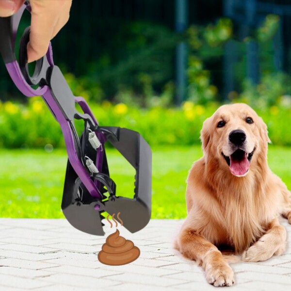Pala Higiénica Levanta Desechos De Mascotas Perro Gato Color Variante Negro